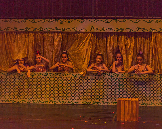 Pippin Friday -  (256 of 396)