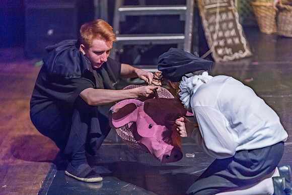 Pippin Friday -  (269 of 396)
