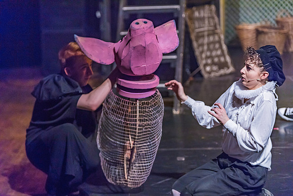 Pippin Friday -  (271 of 396)