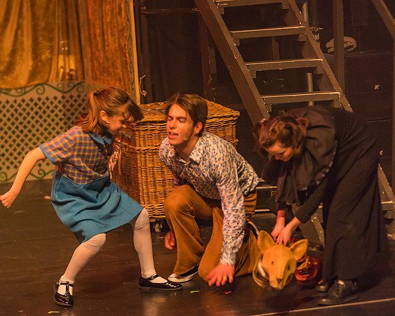 Pippin Friday -  (298 of 396)