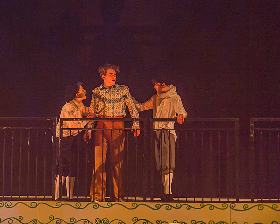 Pippin Friday -  (347 of 396)