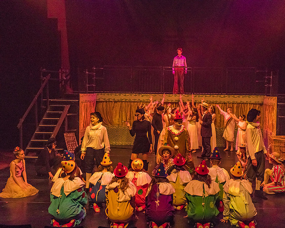 Pippin Friday -  (351 of 396)