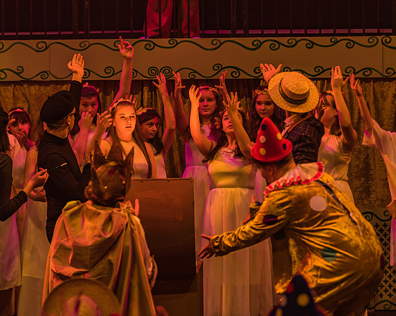 Pippin Friday -  (349 of 396)