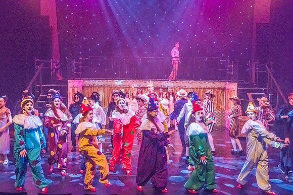 Pippin Friday -  (353 of 396)