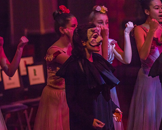 Pippin Friday -  (365 of 396)