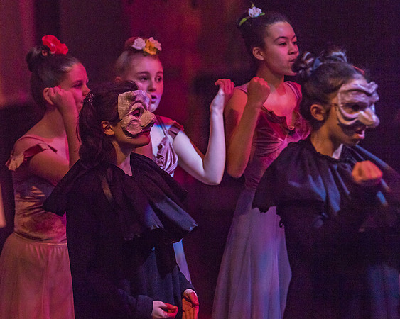 Pippin Friday -  (366 of 396)
