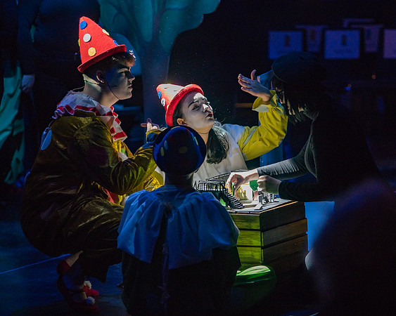 Pippin Sunday -  (3 of 190)