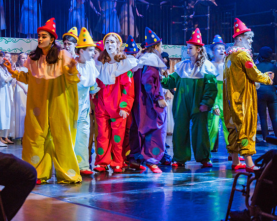 Pippin Sunday -  (8 of 190)