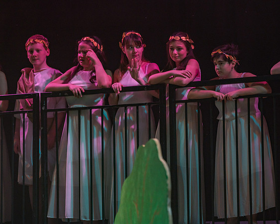 Pippin Sunday -  (97 of 190)