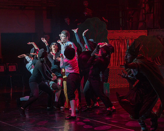 Pippin Sunday -  (106 of 190)