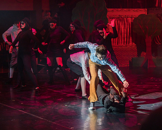 Pippin Sunday -  (107 of 190)