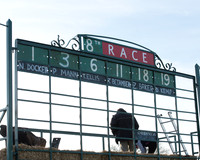 Race 8 - Restricted Race (1 of 40).jpg