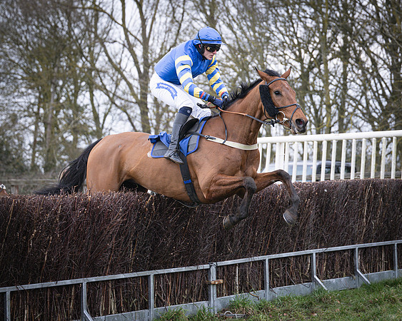 Race 2 - The Maiden (95 of 156)
