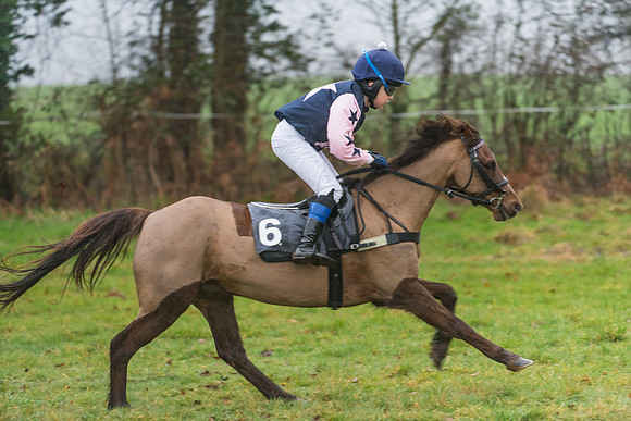 138cm Open Pony Race (14 of 22)