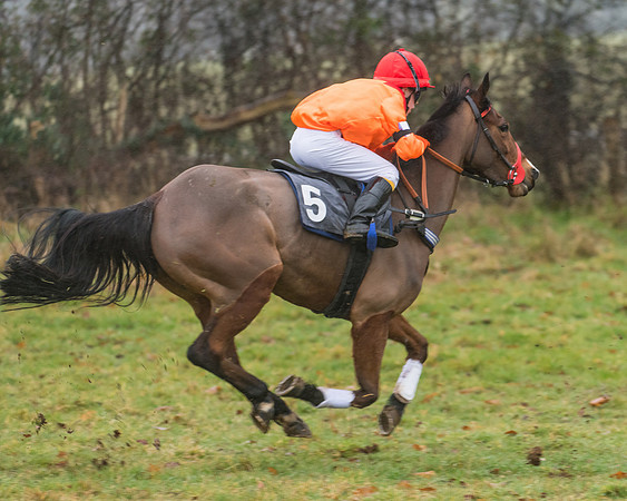 138cm Open Pony Race (15 of 22)