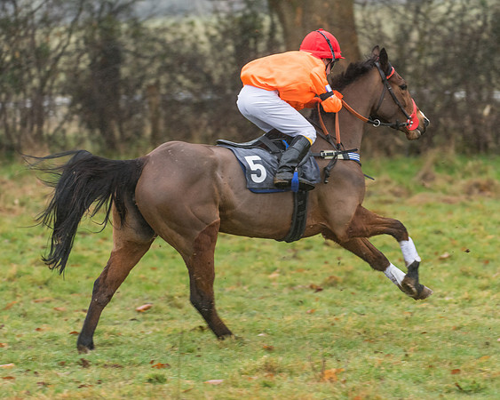 138cm Open Pony Race (16 of 22)
