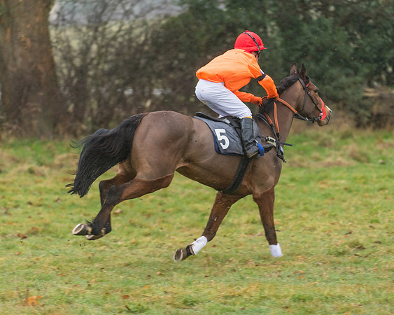 138cm Open Pony Race (17 of 22)