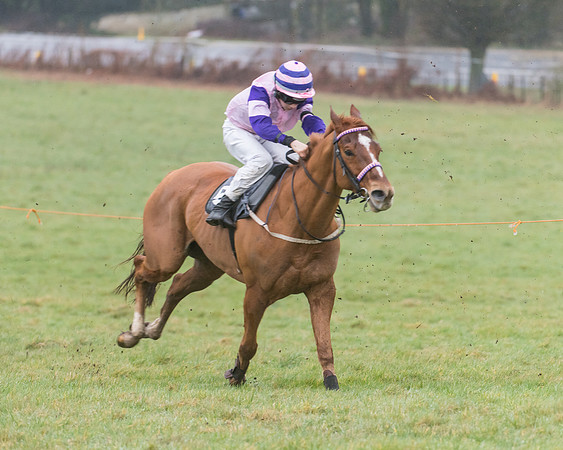 148cm Open Pony Race (13 of 29)
