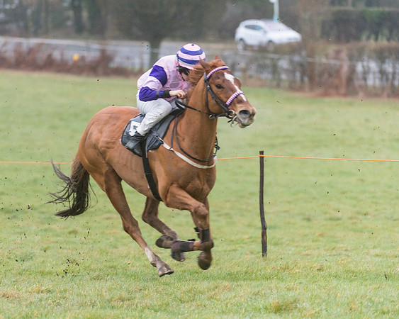 148cm Open Pony Race (14 of 29)