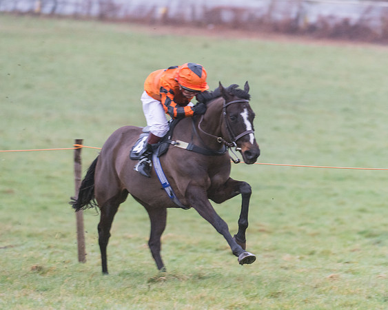 148cm Open Pony Race (20 of 29)