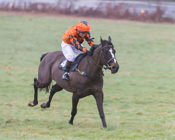 148cm Open Pony Race (21 of 29)