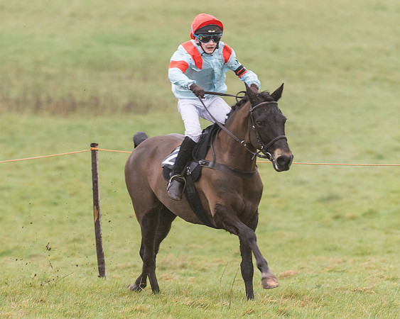 148cm Open Pony Race (25 of 29)