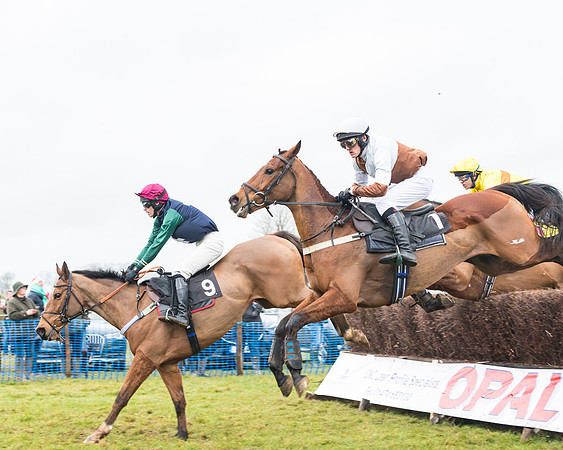 Race 2 - PPORA Novice and Veteran riders (29 of 58)