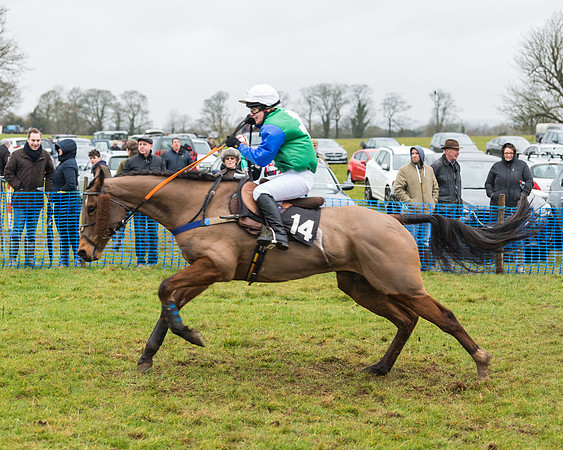 Race 2 - PPORA Novice and Veteran riders (55 of 58)