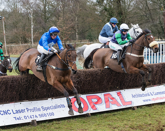 Race 3 - Investec Mixed Open (16 of 63)