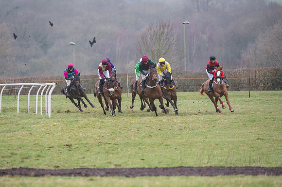 Race 4 - Restricted Race  (1 of 29)
