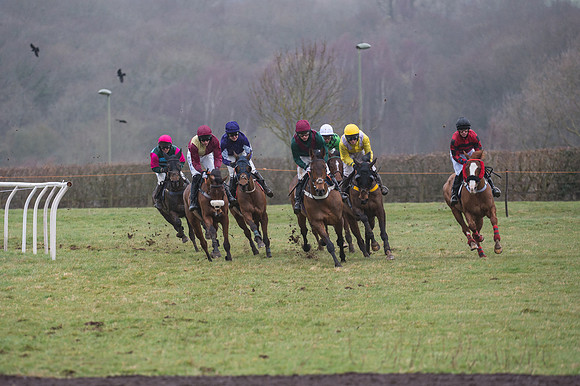 Race 4 - Restricted Race  (2 of 29)