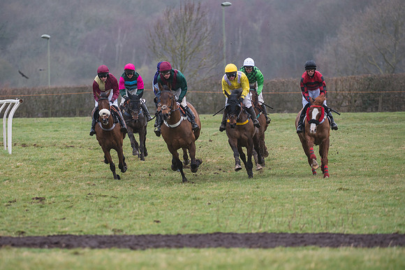 Race 4 - Restricted Race  (3 of 29)