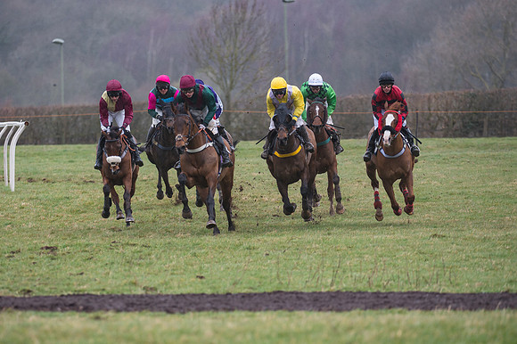 Race 4 - Restricted Race  (4 of 29)