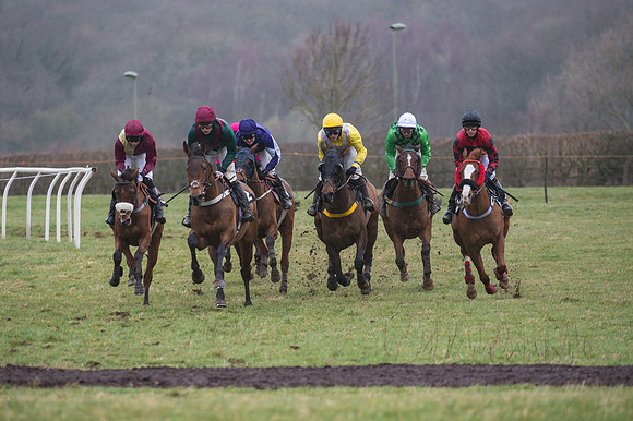 Race 4 - Restricted Race  (5 of 29)