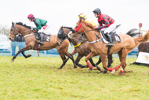 Race 4 - Restricted Race  (11 of 29)