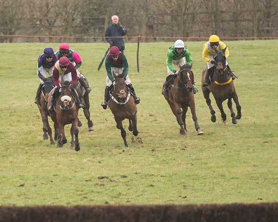 Race 4 - Restricted Race  (14 of 29)