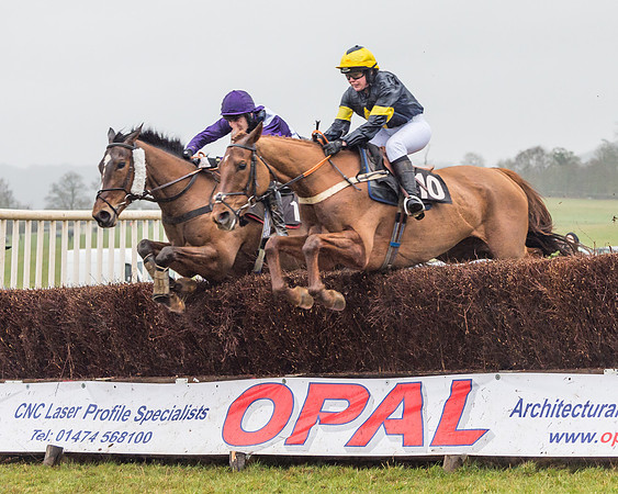 Race 5 - Open Maiden (11 of 77)