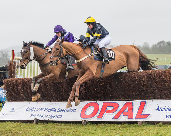 Race 5 - Open Maiden (12 of 77)