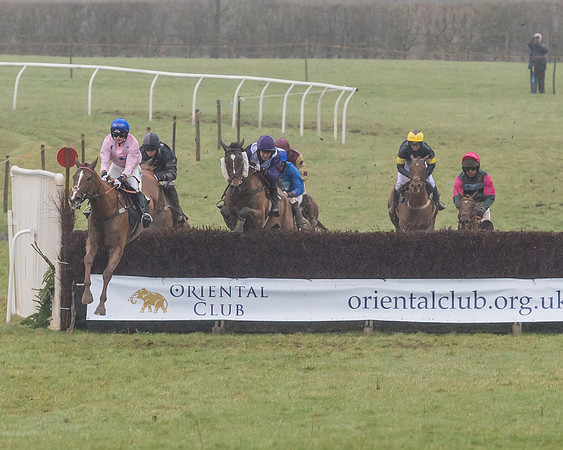Race 5 - Open Maiden (25 of 77)