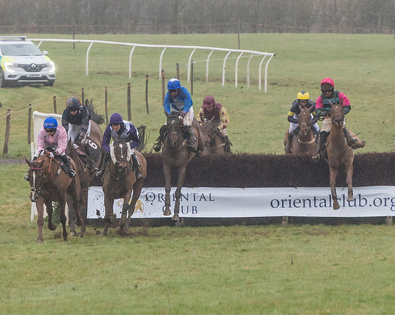 Race 5 - Open Maiden (31 of 77)