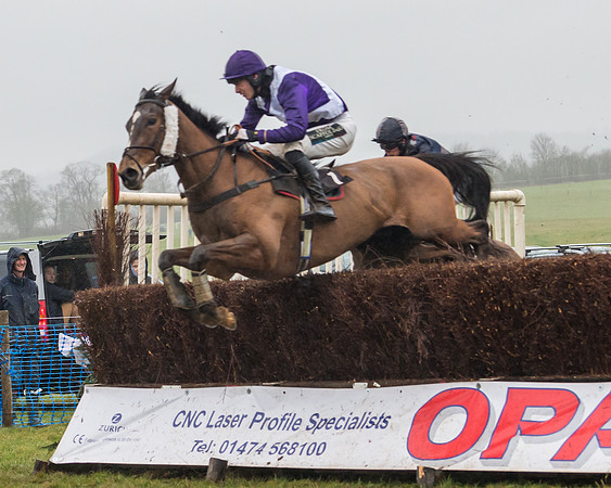 Race 5 - Open Maiden (39 of 77)