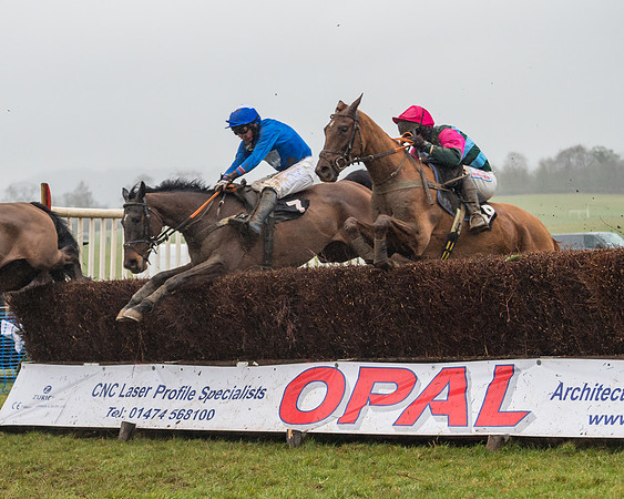 Race 5 - Open Maiden (40 of 77)