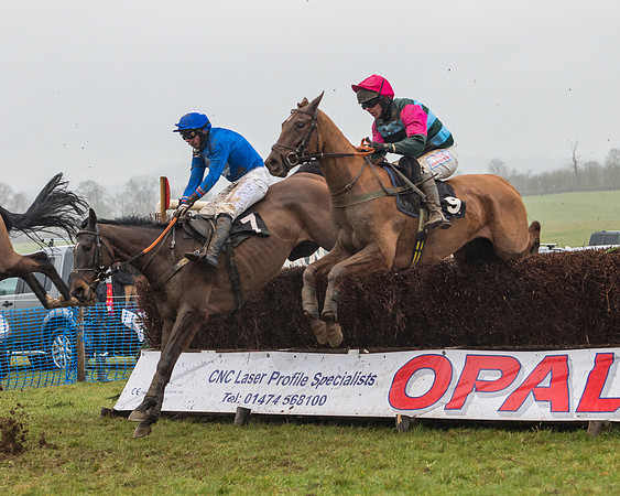 Race 5 - Open Maiden (42 of 77)
