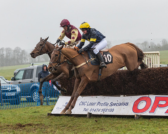 Race 5 - Open Maiden (44 of 77)