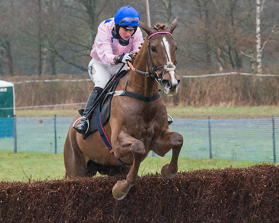 Race 5 - Open Maiden (49 of 77)