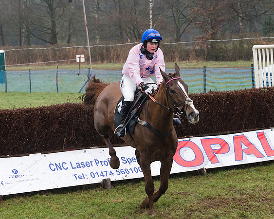 Race 5 - Open Maiden (53 of 77)