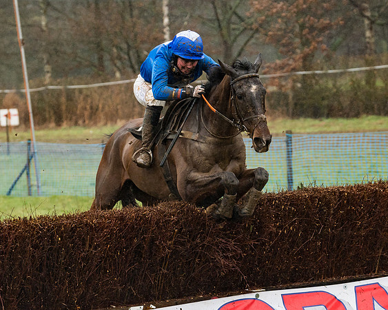 Race 5 - Open Maiden (56 of 77)