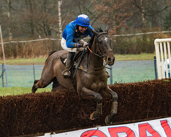 Race 5 - Open Maiden (57 of 77)