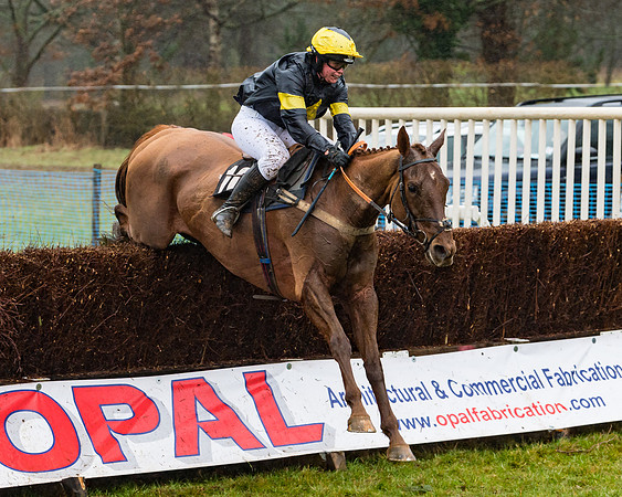 Race 5 - Open Maiden (64 of 77)