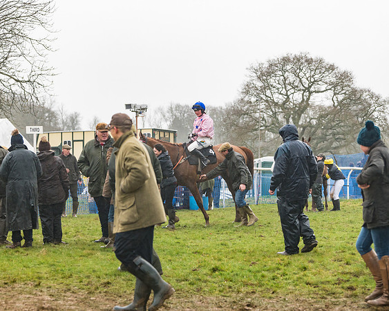 Race 5 - Open Maiden (69 of 77)